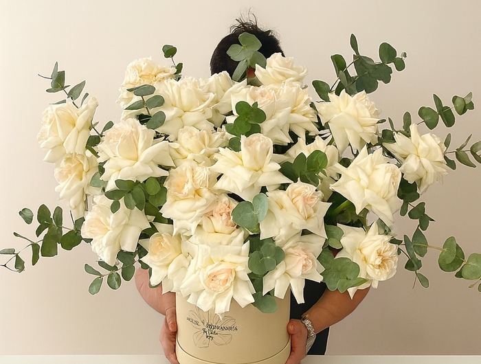 <h2>Flower Boxes</h2>