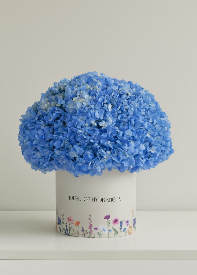 Blue Hydrangeas Box Flowers | Elegant Gift | Flower Delivery Dubai UAE