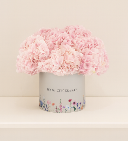 Pink Hydrangeas Box Flowers | Elegant Gift | Flower Delivery Dubai UAE