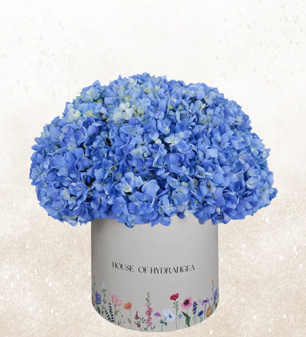 blue hydrangeas flower box delivery dubai uae