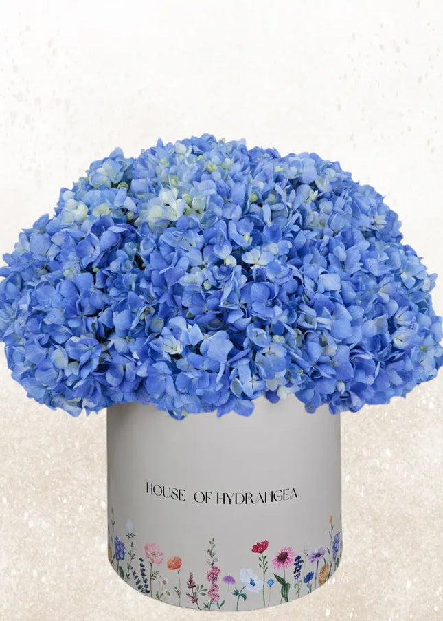 blue hydrangeas flower box delivery dubai uae