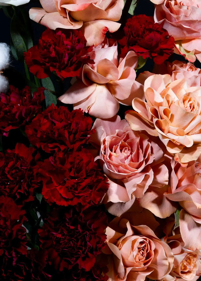 cappuccino roses flowers jo malone florist online dubai
