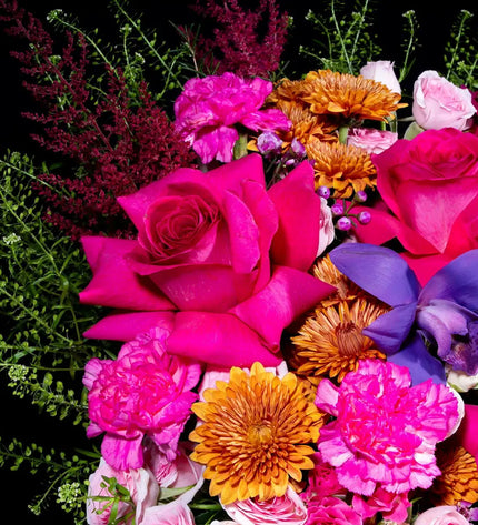 garden of dreams flowers peach pink roses dubai
