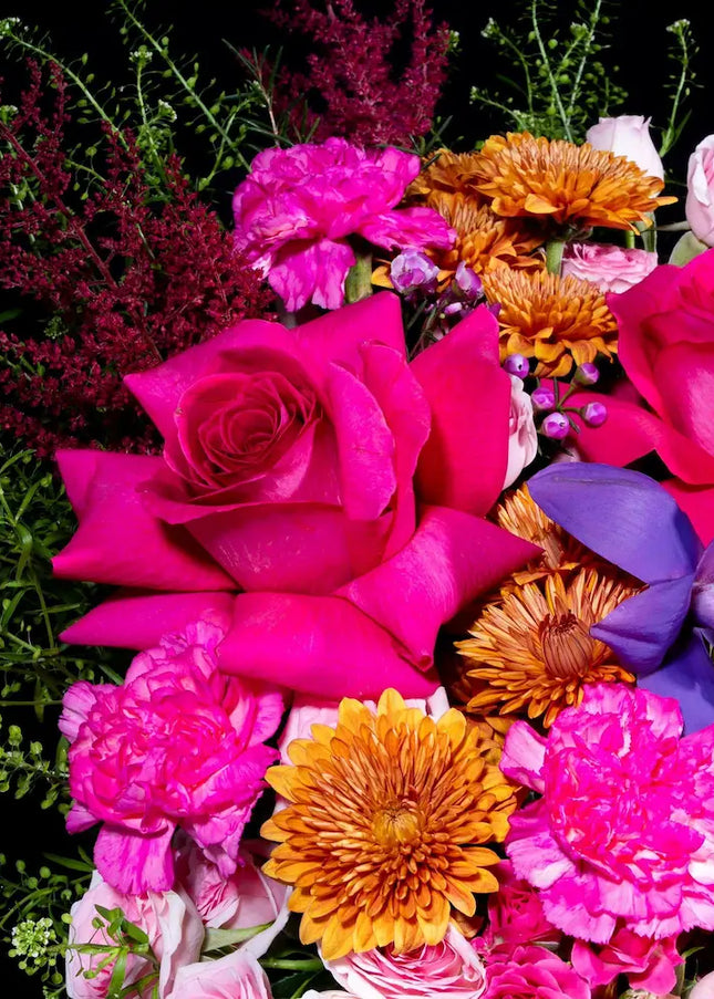 garden of dreams flowers peach pink roses dubai