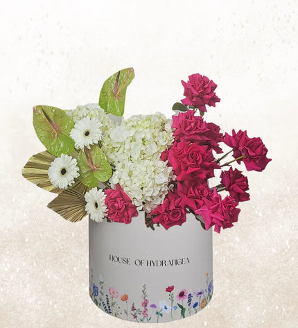 keylime white hydrangeas gift flowers