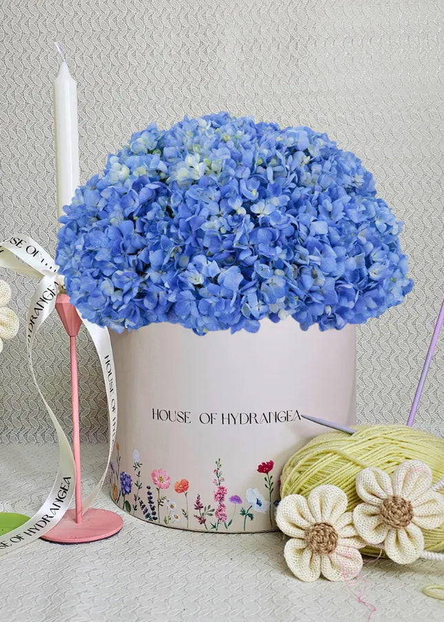 Premium Grade Bule Flowers Waterfall Hat Box Hydrangea, Handpicked As Gift Dubai