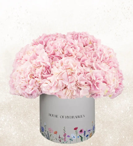 Pink Hydrangeas Box Flowers Elegant Gift  Flower Delivery Dubai UAE