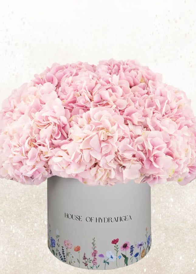 Pink Hydrangeas Box Flowers Elegant Gift  Flower Delivery Dubai UAE